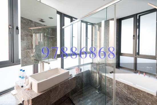 Lucida (D11), Apartment #133732762